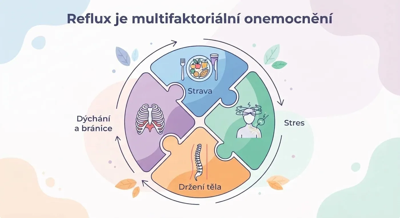 Reflux jako skládačka čtyř faktorů: strava, stres, držení těla, dýchání a bránice